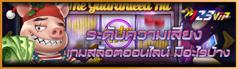 ระดับความเสี่ยง เกมสล็อตออนไลน์ มีอะไรบ้าง